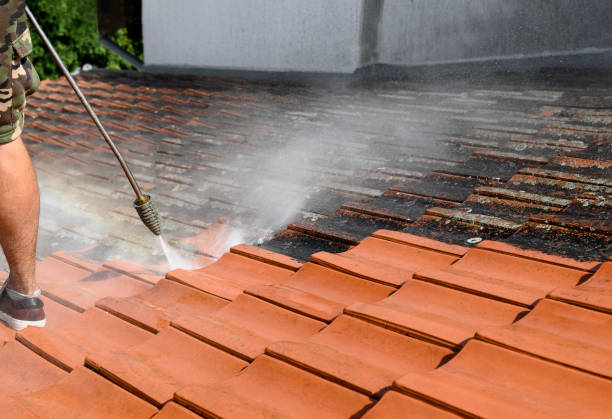 Best Local Pressure Washing Services  in Lauderdale Lakes, WI